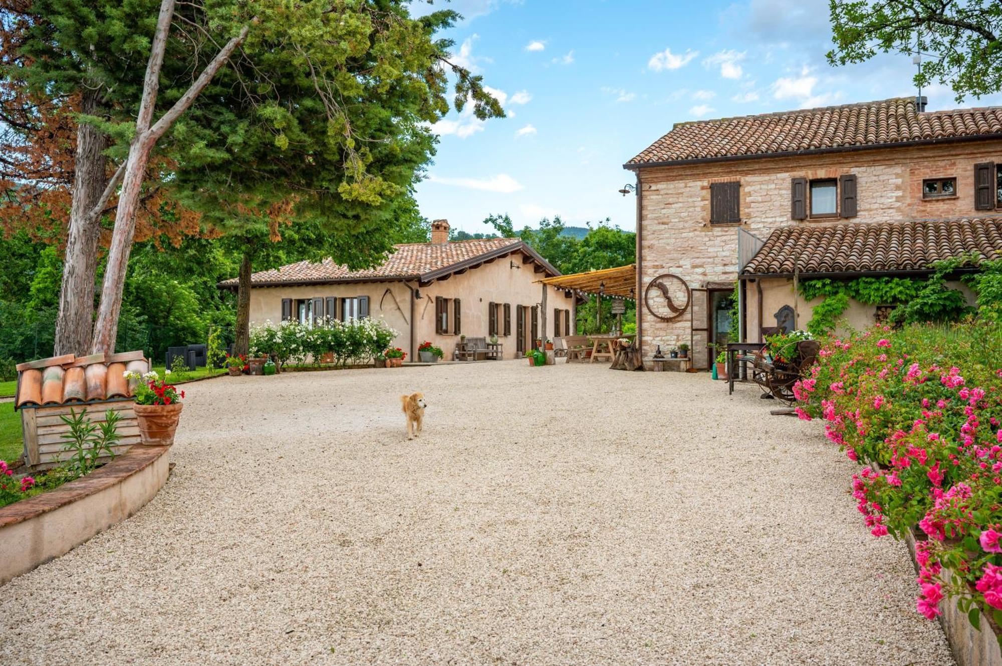 Agriturismo Il Castellaro Sassoferrato Extérieur photo
